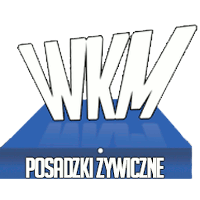 WKM Posadzki żywiczne – Spytkowice